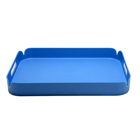 Blue Plastic Tray image 0